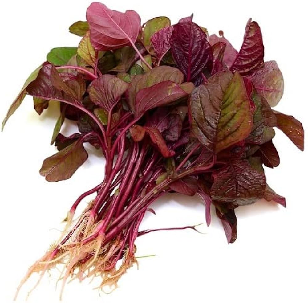 Red Leaves (Lal Saag)